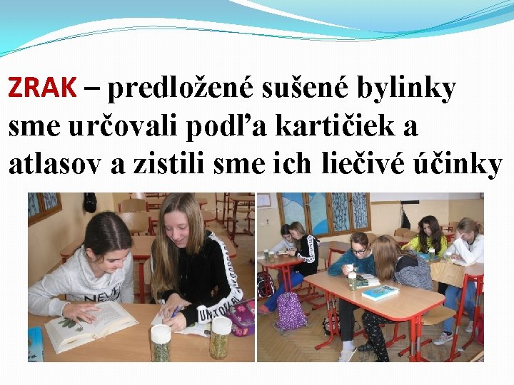 ZRAK – predložené sušené bylinky sme určovali podľa kartičiek a atlasov a zistili sme