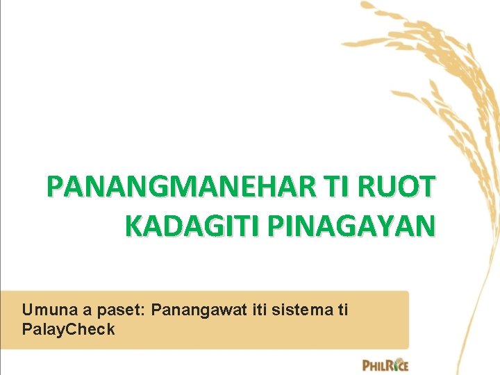 PANANGMANEHAR TI RUOT KADAGITI PINAGAYAN Umuna a paset: Panangawat iti sistema ti Palay. Check PANANGMANEHAR TI RUOT KADAGITI PINAGAYAN Umuna a paset: Panangawat iti sistema ti Palay. Check