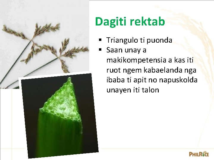 Dagiti rektab § Triangulo ti puonda § Saan unay a makikompetensia a kas iti Dagiti rektab § Triangulo ti puonda § Saan unay a makikompetensia a kas iti