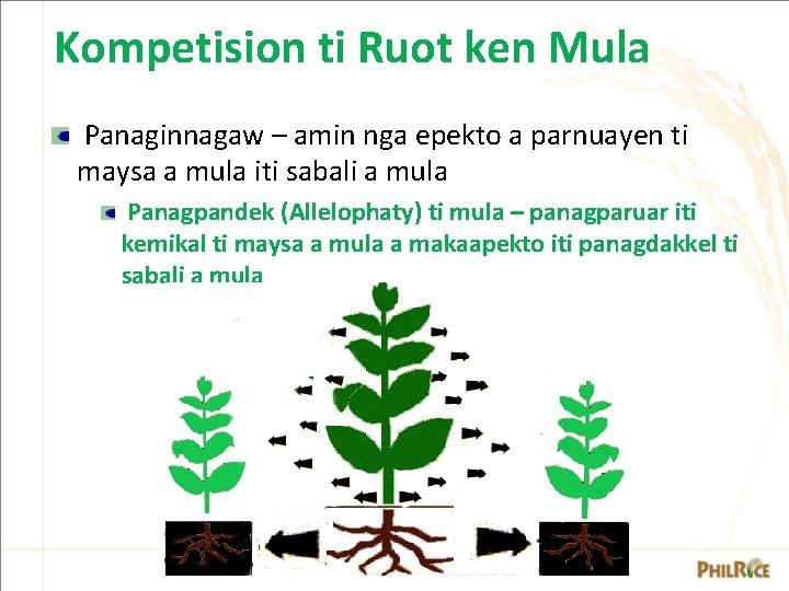 Kompetision ti Ruot ken Mula Panaginnagaw – amin nga epekto a parnuayen ti maysa Kompetision ti Ruot ken Mula Panaginnagaw – amin nga epekto a parnuayen ti maysa