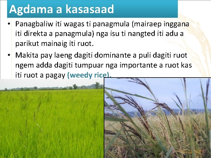 Agdama a kasasaad • Panagbaliw iti wagas ti panagmula (mairaep inggana iti direkta a Agdama a kasasaad • Panagbaliw iti wagas ti panagmula (mairaep inggana iti direkta a