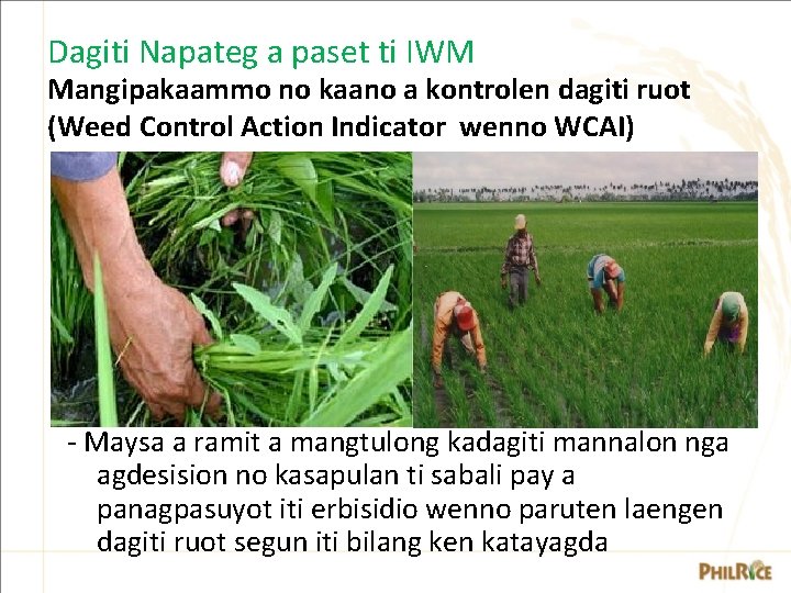Dagiti Napateg a paset ti IWM Mangipakaammo no kaano a kontrolen dagiti ruot (Weed Dagiti Napateg a paset ti IWM Mangipakaammo no kaano a kontrolen dagiti ruot (Weed