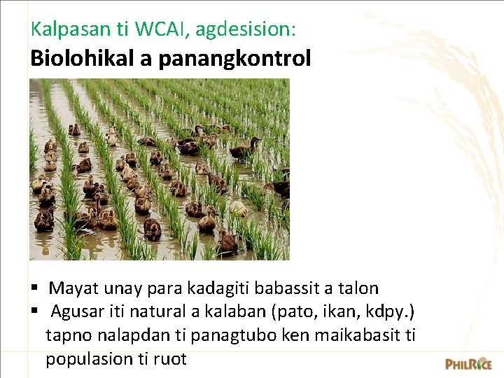 Kalpasan ti WCAI, agdesision: Biolohikal a panangkontrol § Mayat unay para kadagiti babassit a Kalpasan ti WCAI, agdesision: Biolohikal a panangkontrol § Mayat unay para kadagiti babassit a