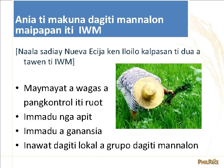 Ania ti makuna dagiti mannalon maipapan iti IWM [Naala sadiay Nueva Ecija ken Iloilo Ania ti makuna dagiti mannalon maipapan iti IWM [Naala sadiay Nueva Ecija ken Iloilo