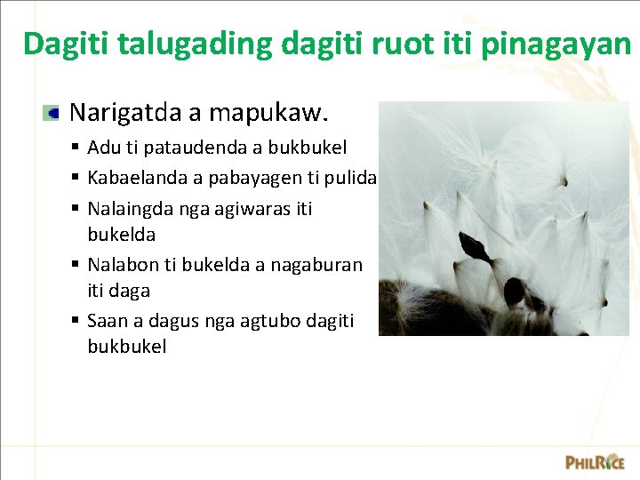 Dagiti talugading dagiti ruot iti pinagayan Narigatda a mapukaw. § Adu ti pataudenda a Dagiti talugading dagiti ruot iti pinagayan Narigatda a mapukaw. § Adu ti pataudenda a