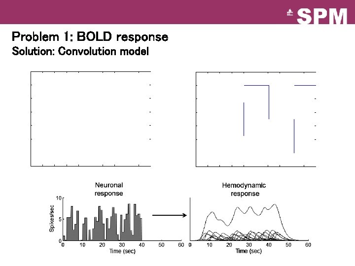 Problem 1: BOLD response Solution: Convolution model Problem 1: BOLD response Solution: Convolution model
