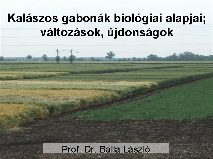 Kalászos gabonák biológiai alapjai; változások, újdonságok Prof. Dr. Balla László 