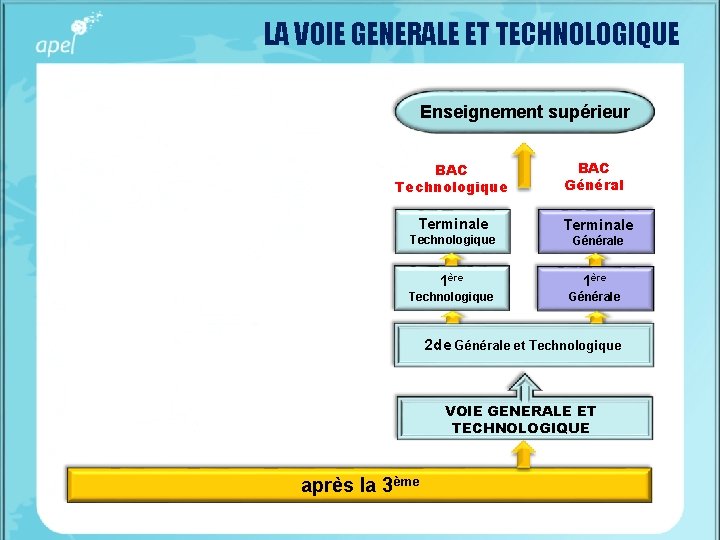 LA VOIE GENERALE ET TECHNOLOGIQUE Enseignement supérieur BAC Technologique Terminale Technologique BAC Général Terminale LA VOIE GENERALE ET TECHNOLOGIQUE Enseignement supérieur BAC Technologique Terminale Technologique BAC Général Terminale