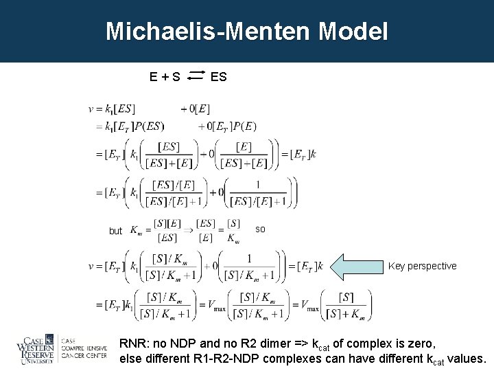 Michaelis-Menten Model E + S ES but so Key perspective RNR: no NDP and