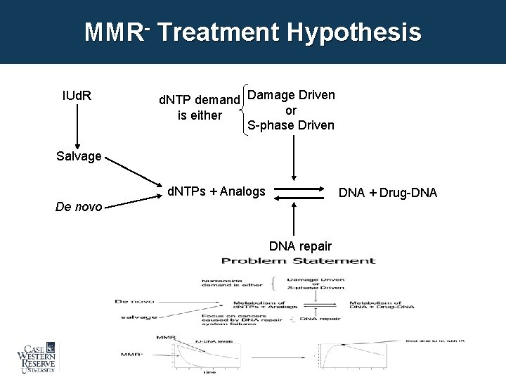 MMR- Treatment Hypothesis IUd. R d. NTP demand Damage Driven or is either S-phase