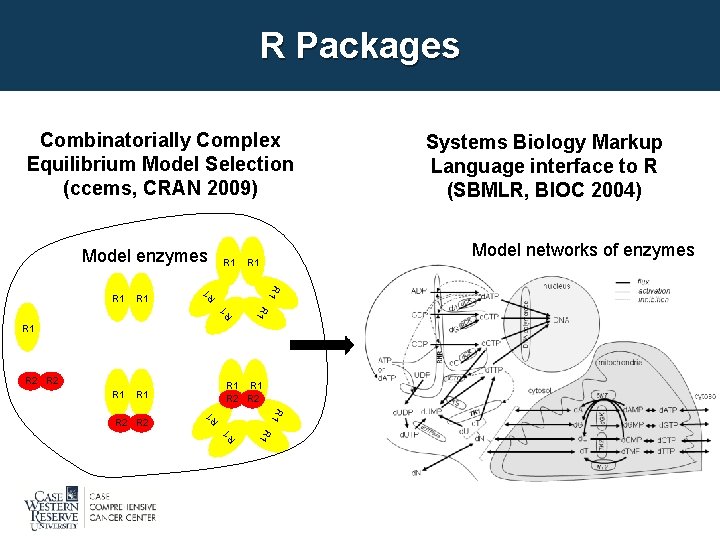 R Packages Combinatorially Complex Equilibrium Model Selection (ccems, CRAN 2009) R 1 1 R