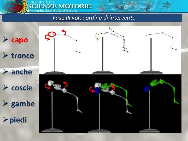 Fase di volo: ordine di intervento Ø capo Ø tronco Ø anche Ø coscie Fase di volo: ordine di intervento Ø capo Ø tronco Ø anche Ø coscie