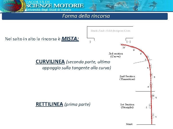 Forma della rincorsa Nel salto in alto la rincorsa è MISTA: CURVILINEA (seconda parte, Forma della rincorsa Nel salto in alto la rincorsa è MISTA: CURVILINEA (seconda parte,