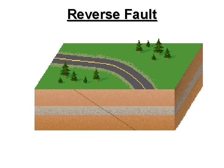 Reverse Fault 