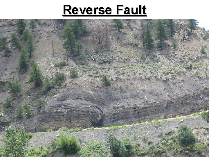 Reverse Fault 