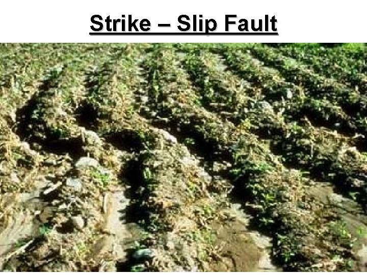 Strike – Slip Fault 