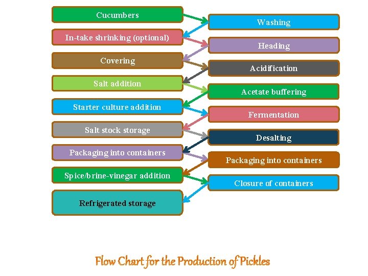 Cucumbers In-take shrinking (optional) Covering Salt addition Starter culture addition Salt stock storage Packaging