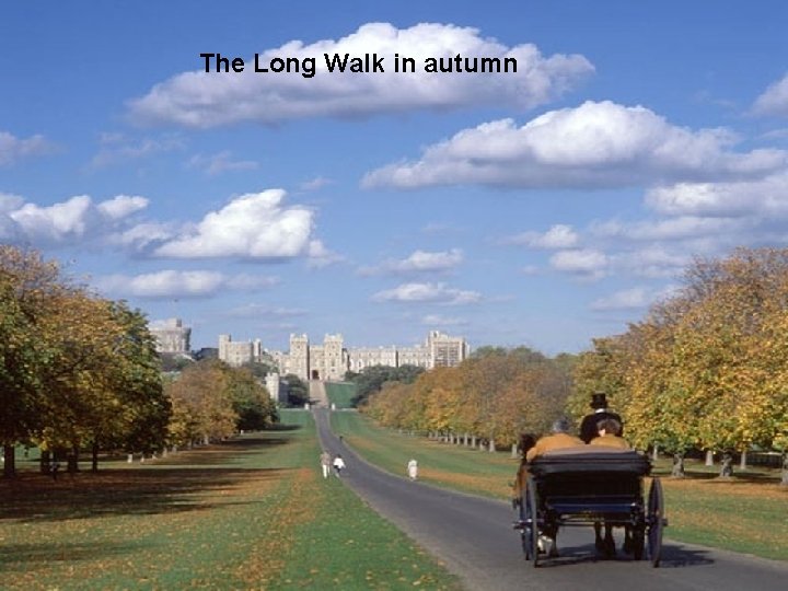 The Long Walk in autumn 