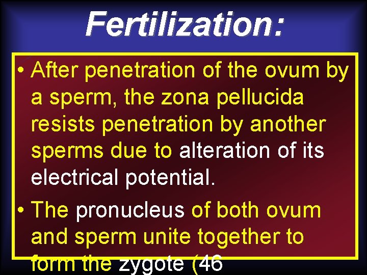 Fertilization: • After penetration of the ovum by a sperm, the zona pellucida resists Fertilization: • After penetration of the ovum by a sperm, the zona pellucida resists