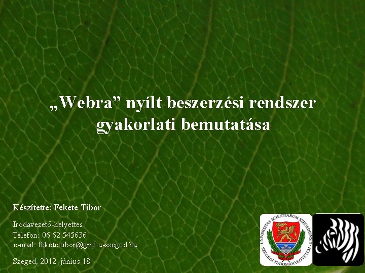 „Webra” nyílt beszerzési rendszer gyakorlati bemutatása Készítette: Fekete Tibor Irodavezető-helyettes Telefon: 06 62 545636