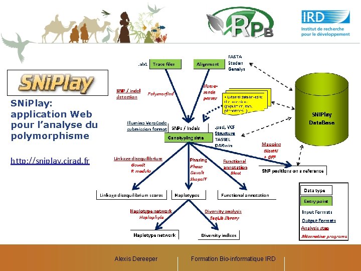 SNi. Play: application Web pour l’analyse du polymorphisme http: //sniplay. cirad. fr Alexis Dereeper