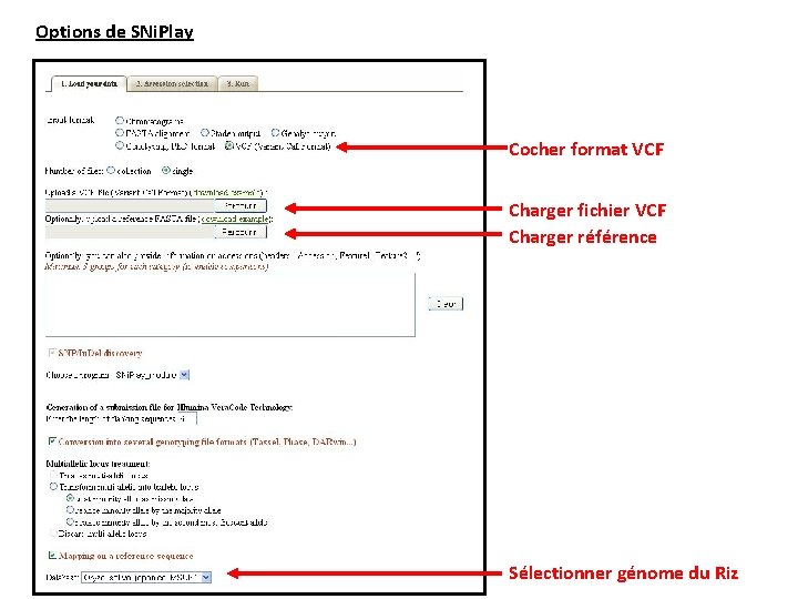 Options de SNi. Play Cocher format VCF Charger fichier VCF Charger référence Sélectionner génome