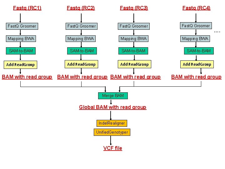 Fastq (RC 1) Fastq (RC 2) Fastq (RC 3) Fastq (RC 4) Fast. Q