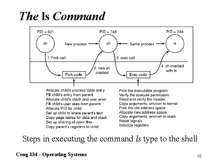 The ls Command Steps in executing the command ls type to the shell Ceng