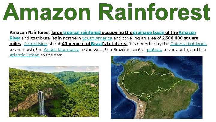 Amazon Rainforest, large tropical rainforest occupying the drainage basin of the Amazon River and