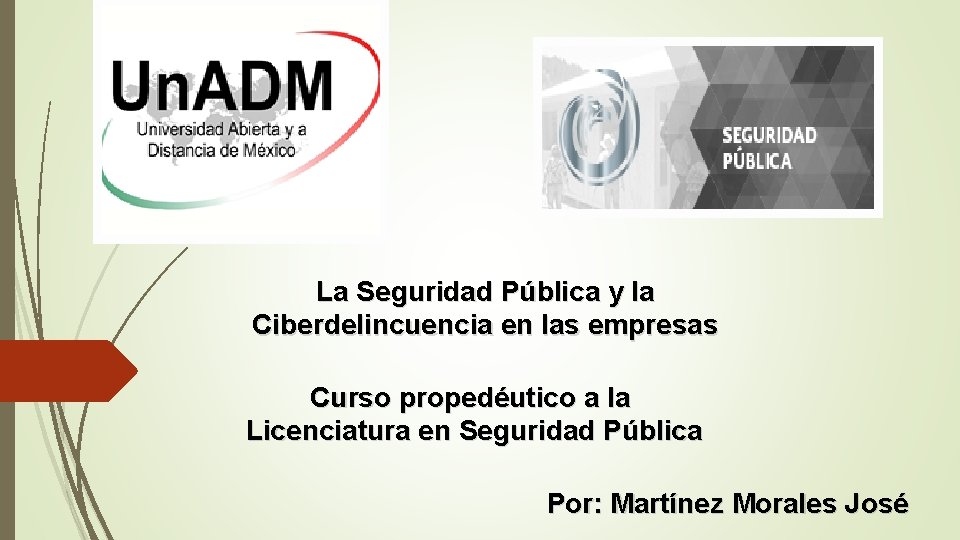 La Seguridad Pública y la Ciberdelincuencia en las empresas Curso propedéutico a la Licenciatura