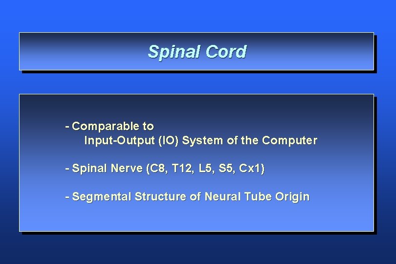Spinal Cord - Comparable to Input-Output (IO) System of the Computer - Spinal Nerve