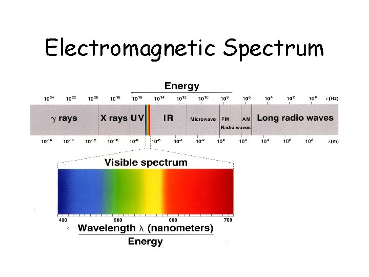 Electromagnetic Spectrum 