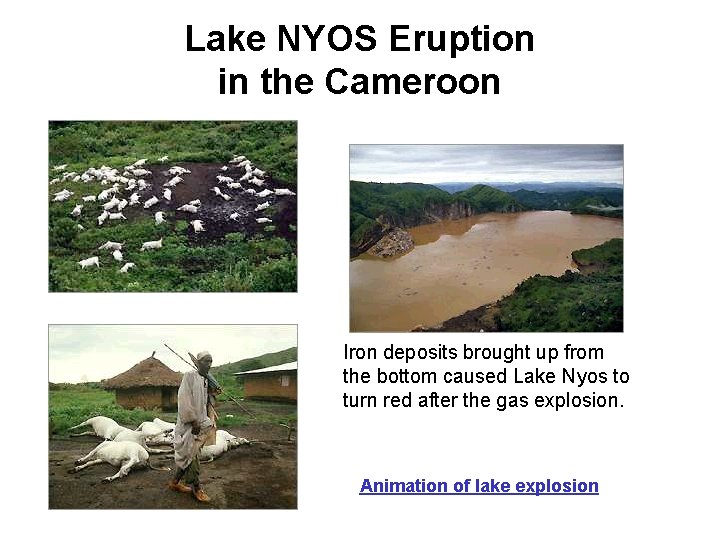 Lake NYOS Eruption in the Cameroon Iron deposits brought up from the bottom caused