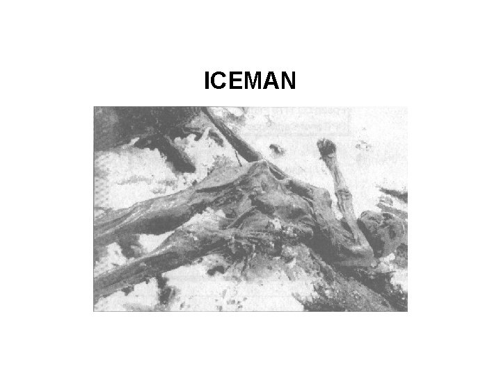 ICEMAN 