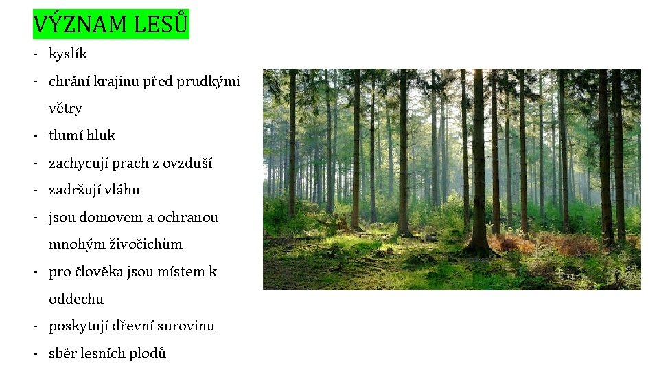 VÝZNAM LESŮ - kyslík - chrání krajinu před prudkými větry - tlumí hluk -