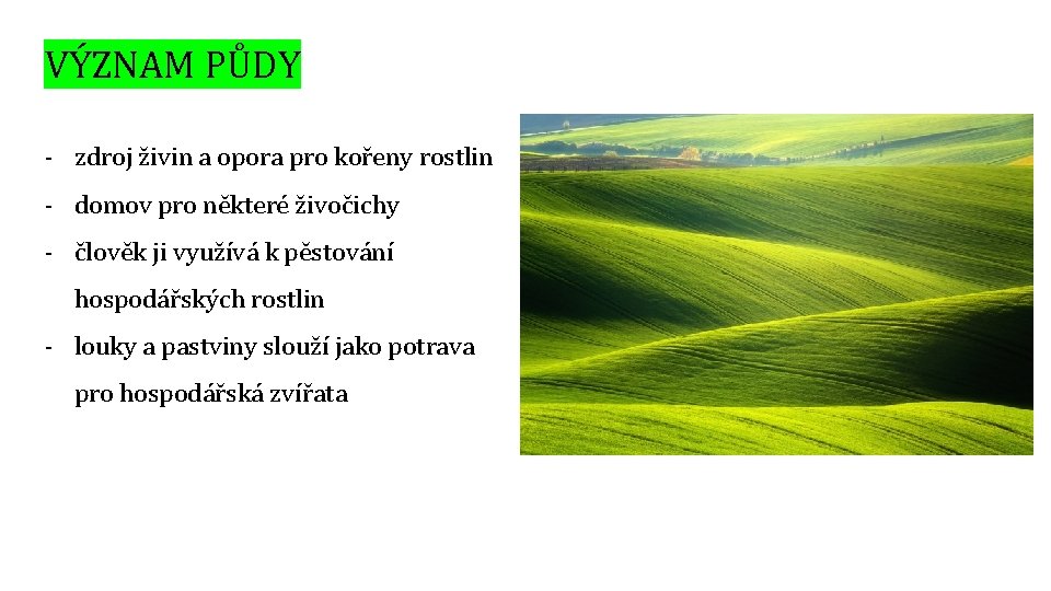 VÝZNAM PŮDY - zdroj živin a opora pro kořeny rostlin - domov pro některé