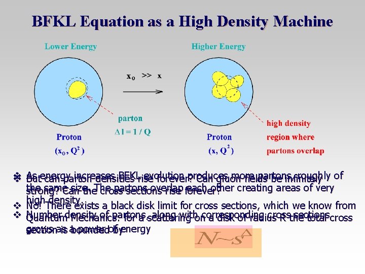 BFKL Equation as a High Density Machine v increases BFKLrise evolution produces more partons