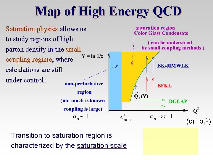 Map of High Energy QCD Saturation physics allows us to study regions of high