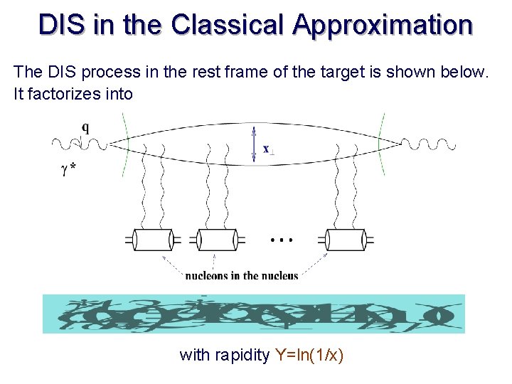 DIS in the Classical Approximation The DIS process in the rest frame of the