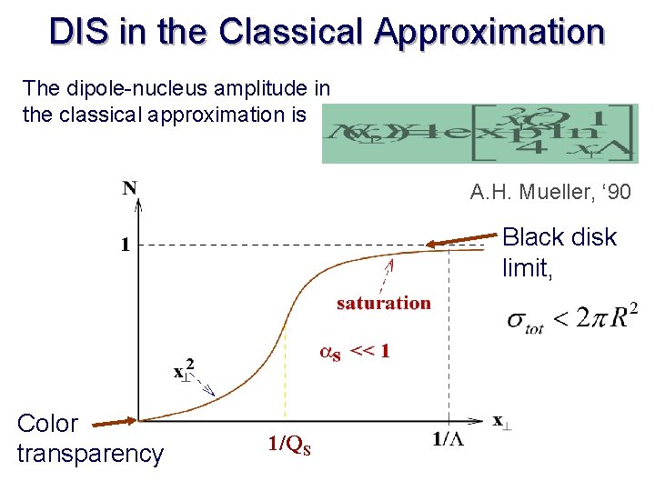 DIS in the Classical Approximation The dipole-nucleus amplitude in the classical approximation is A.