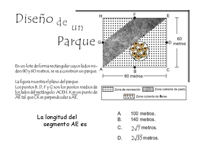 La longitud del segmento AE es 