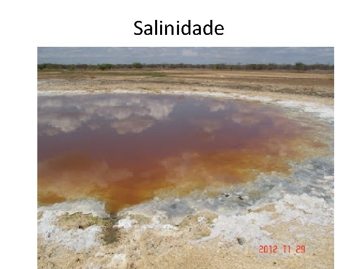 Salinidade 