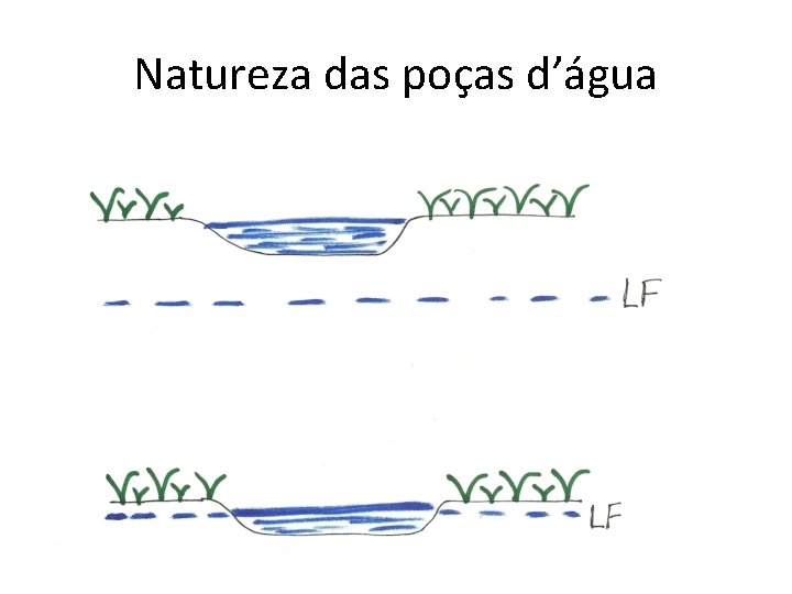 Natureza das poças d’água 