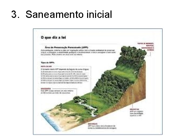 3. Saneamento inicial 