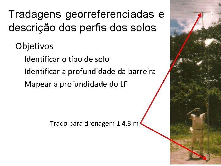 Tradagens georreferenciadas e descrição dos perfis dos solos Objetivos Identificar o tipo de solo