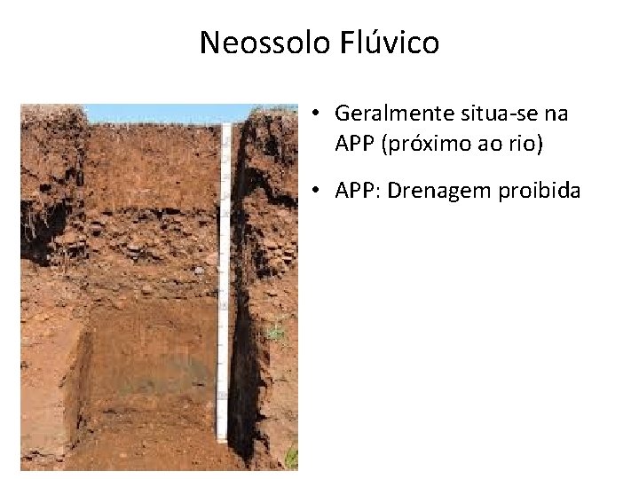 Neossolo Flúvico • Geralmente situa-se na APP (próximo ao rio) • APP: Drenagem proibida