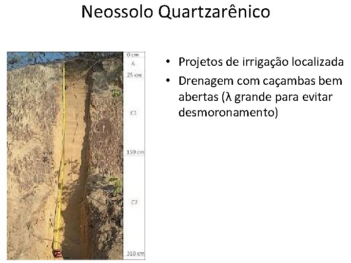 Neossolo Quartzarênico • Projetos de irrigação localizada • Drenagem com caçambas bem abertas (λ