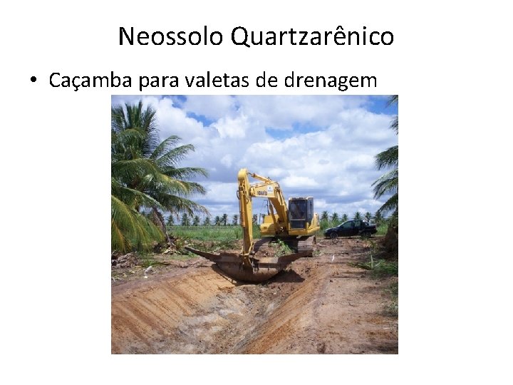 Neossolo Quartzarênico • Caçamba para valetas de drenagem 