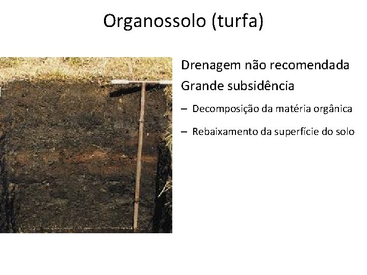 Organossolo (turfa) • Drenagem não recomendada • Grande subsidência – Decomposição da matéria orgânica