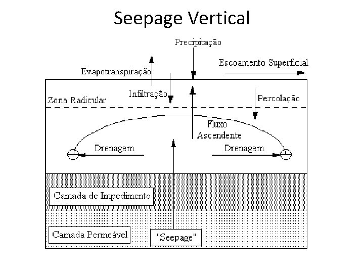 Seepage Vertical 